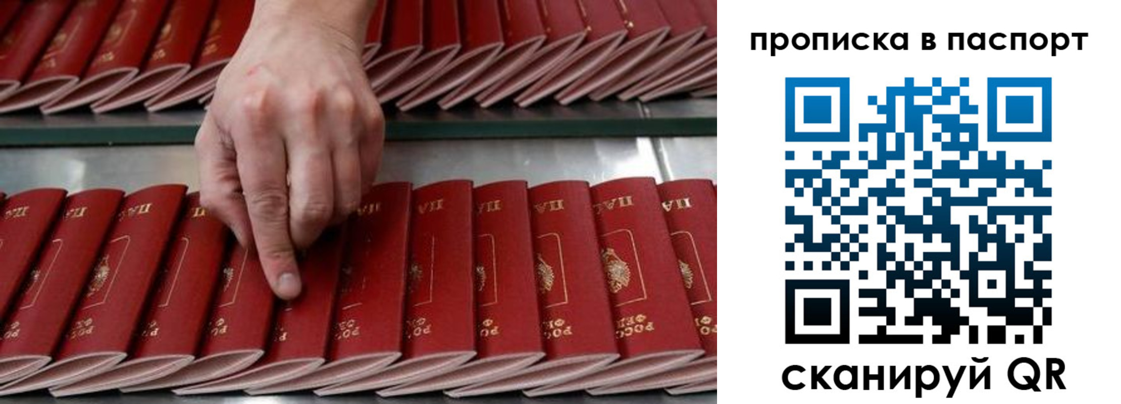 регистрация для школы в Хвалынске